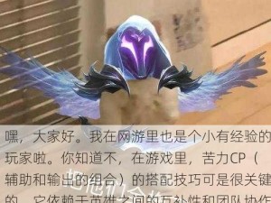 嘿，大家好。我在网游里也是个小有经验的玩家啦。你知道不，在游戏里，苦力CP（辅助和输出的组合）的搭配技巧可是很关键的，它依赖于英雄之间的互补性和团队协作能力。下面我就来分享一些我在游戏中学到的常见苦力CP搭配技巧。