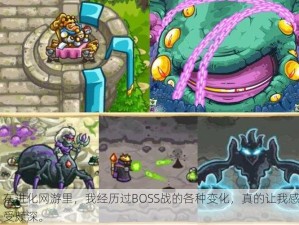 在进化网游里，我经历过BOSS战的各种变化，真的让我感受颇深。