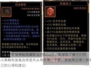 在网游中那些神秘隐藏职业的Boss时，我深知了解它们的战斗策略和装备选择是件头等大事。下面，我就来分享一些我自己的心得和建议：
