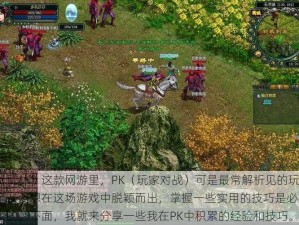 在《武林》这款网游里，PK（玩家对战）可是最常解析见的玩法了。要想在这场游戏中脱颖而出，掌握一些实用的技巧是必不可少的。下面，我就来分享一些我在PK中积累的经验和技巧。