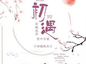 初遇