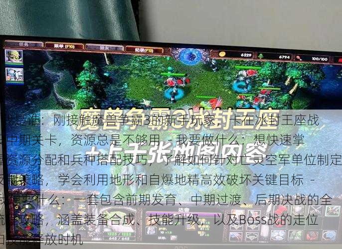 - 我是谁:刚接触魔兽争霸3的新手玩家,卡在冰封王座战役中期关卡,资源总是不够用 - 我要做什么:想快速掌握资源分配和兵种搭配技巧,了解如何针对亡灵空军单位制定反制策略,学会利用地形和自爆地精高效破坏关键目标 - 我想要什么:一套包含前期发育、中期过渡、后期决战的全流程攻略,涵盖装备合成、技能升级,以及Boss战的走位和技能释放时机